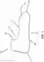 Fig. 02 - Heel Warming Sock