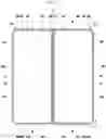 Fig. 09 - Electronic device including antenna