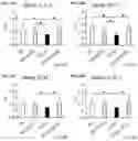 Fig. 07 - Therapy for polyglutamine (polyQ) diseases