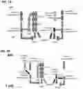 Fig. 02 - Multi-domain immunomodulatory proteins and methods of use thereof