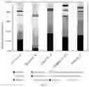 Fig. 02 - Enhanced efficient nitrogen-fixing composite microbial system added with non-nitrogen-fixing bacteria and application thereof