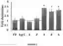 Fig. 08 - Increasing gene expression