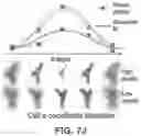 Fig. 15 - ROBOTIC BARCODE TAGGING OF DISTINCT CELL POPULATIONS IN INTACT TISSUE