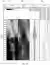 Fig. 04 - Gravity toolface for wellbores