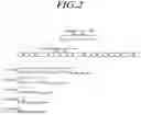 Fig. 03 - Sidelink HARQ feedback transmission method and device thereof