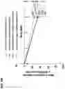 Fig. 05 - METHODS FOR TREATING ATOPIC DERMATITIS BY ADMINISTERING AN IL-4R ANTAGONIST