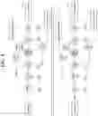 Fig. 09 - METHOD AND APPARATUS FOR CONTENT CACHING OF CONTENTS STORE IN NDN
