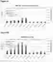 Fig. 03 - PHARMACEUTICAL COMPOSITION COMPRISING BISPECIFIC ANTIBODY CONSTRUCTS