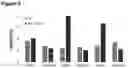 Fig. 07 - PHARMACEUTICAL COMPOSITION COMPRISING BISPECIFIC ANTIBODY CONSTRUCTS