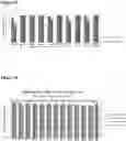 Fig. 16 - PHARMACEUTICAL COMPOSITION COMPRISING BISPECIFIC ANTIBODY CONSTRUCTS