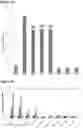 Fig. 19 - PHARMACEUTICAL COMPOSITION COMPRISING BISPECIFIC ANTIBODY CONSTRUCTS