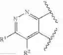 Fig. 19 - SMARCA INHIBITORS AND USES THEREOF