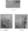 Fig. 11 - Formulations usable in additive manufacturing of a three-dimensional object made of a soft material