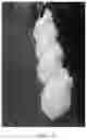 Fig. 14 - Formulations usable in additive manufacturing of a three-dimensional object made of a soft material