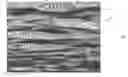 Fig. 01 - RESIN REFLECTIVE FILM