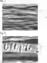 Fig. 02 - RESIN REFLECTIVE FILM
