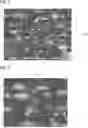 Fig. 03 - RESIN REFLECTIVE FILM