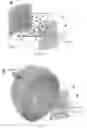 Fig. 02 - MECHANOACTIVE MATERIALS AND USES THEREOF
