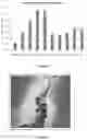 Fig. 06 - SYSTEMS AND PHARMACEUTICAL COMPOSITIONS FOR TREATMENT BY DIRECT INJECTION OF A TARGETED POPULATION OF CELLS