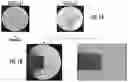 Fig. 02 - METHODS FOR QUANTIFYING THE IMPACT OF SHEAR STRESS ON MAMMALIAN CELL LINES