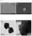 Fig. 02 - Raman-active particle for surface-enhanced Raman scattering and method of producing the same