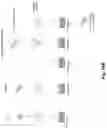 Fig. 47 - SEQUENTIAL ELECTROPORATION METHODS
