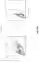 Fig. 63 - SEQUENTIAL ELECTROPORATION METHODS