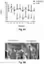 Fig. 06 - SYSTEM AND COMPUTER IMPLEMENTED METHOD FOR CALCULATING ENERGY DOSES