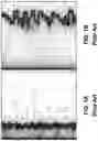 Fig. 02 - FAST FRONT TRACKING IN EOR FLOODING SIMULATION ON COARSE GRIDS