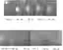 Fig. 02 - FILLER COMPOSITION INDICATING READINESS TO SAND
