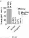 Fig. 16 - METHOD FOR MULTIPLEXABLE STRAND-SPECIFIC 3' END SEQUENCING OF MRNA TRANSCRIPTOME PRIMER SET, KIT AND APPLICATION THEREOF