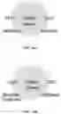 Fig. 20 - METHOD FOR MULTIPLEXABLE STRAND-SPECIFIC 3' END SEQUENCING OF MRNA TRANSCRIPTOME PRIMER SET, KIT AND APPLICATION THEREOF