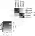 Fig. 23 - METHOD FOR MULTIPLEXABLE STRAND-SPECIFIC 3' END SEQUENCING OF MRNA TRANSCRIPTOME PRIMER SET, KIT AND APPLICATION THEREOF