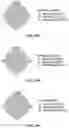 Fig. 30 - METHOD FOR MULTIPLEXABLE STRAND-SPECIFIC 3' END SEQUENCING OF MRNA TRANSCRIPTOME PRIMER SET, KIT AND APPLICATION THEREOF
