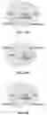 Fig. 35 - METHOD FOR MULTIPLEXABLE STRAND-SPECIFIC 3' END SEQUENCING OF MRNA TRANSCRIPTOME PRIMER SET, KIT AND APPLICATION THEREOF