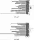 Fig. 44 - METHOD FOR MULTIPLEXABLE STRAND-SPECIFIC 3' END SEQUENCING OF MRNA TRANSCRIPTOME PRIMER SET, KIT AND APPLICATION THEREOF