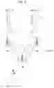 Fig. 03 - Method for transmitting, by user equipment, beam management signal in wireless communication system supporting sidelink, and apparatus therefor