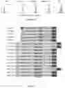 Fig. 07 - COMBINED CHIMERIC ANTIGEN RECEPTOR TARGETING CD19 AND CD20 AND APPLICATION THEREOF