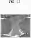 Fig. 13 - Aluminum coated blank and manufacturing method thereof