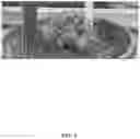 Fig. 02 - A METHOD FOR PRODUCING PLANTS WITH MINIMIZED BIOMASS BYPRODUCT AND ASSOCIATED PLANTS THEREOF