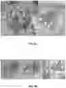 Fig. 07 - A METHOD FOR PRODUCING PLANTS WITH MINIMIZED BIOMASS BYPRODUCT AND ASSOCIATED PLANTS THEREOF