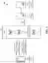 Fig. 02 - PHYSICAL UPLINK SHARED CHANNEL (PUSCH) REPETITION COUNTING IN PAIRED SPECTRUM