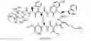 Fig. 01 - STRUCTURAL OPTIMIZATION METHOD TO IMPROVE THE THERANOSTIC PERFORMANCE OF PEPTIDE RECEPTOR-TARGETED RADIONUCLIDE THERAPY FOR CANCERS