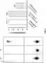 Fig. 09 - STRUCTURAL OPTIMIZATION METHOD TO IMPROVE THE THERANOSTIC PERFORMANCE OF PEPTIDE RECEPTOR-TARGETED RADIONUCLIDE THERAPY FOR CANCERS