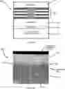 Fig. 08 - METHOD FOR ELECTROCHEMICALLY ETCHING A SEMICONDUCTOR STRUCTURE