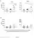Fig. 06 - Remnant tumor infiltrating lymphocytes and methods of preparing and using the same