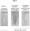 Fig. 07 - NOVEL USE OF CROSS-FLOW FILTRATION DEVICE FOR PREPARING FUNCTIONAL EXOSOME