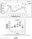 Fig. 26 - TECHNIQUES FOR DETERMINING CALCIMIMETIC DRUG ACTIVITY