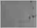 Fig. 01 - BIOLOGICAL MATERIAL ADHESION INHIBITOR