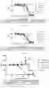 Fig. 08 - Antibodies binding Siglec15 and uses thereof